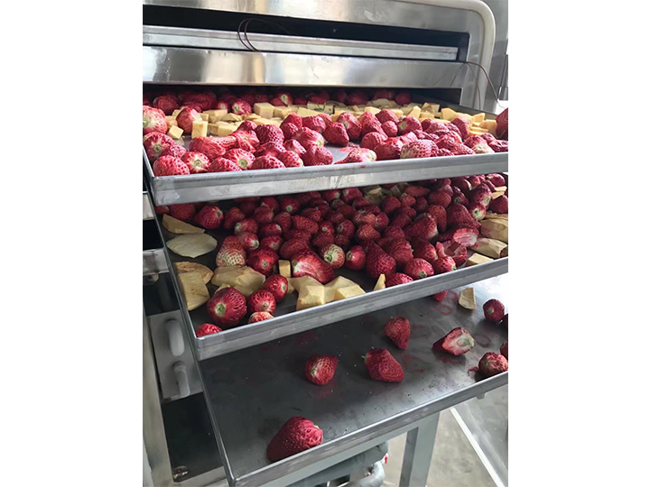 真空冷凍干燥機